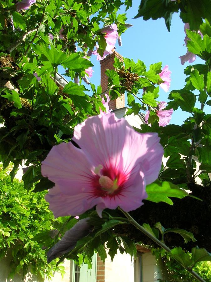 Le Petit Jardin Yoyo Hotel Monts Exterior foto