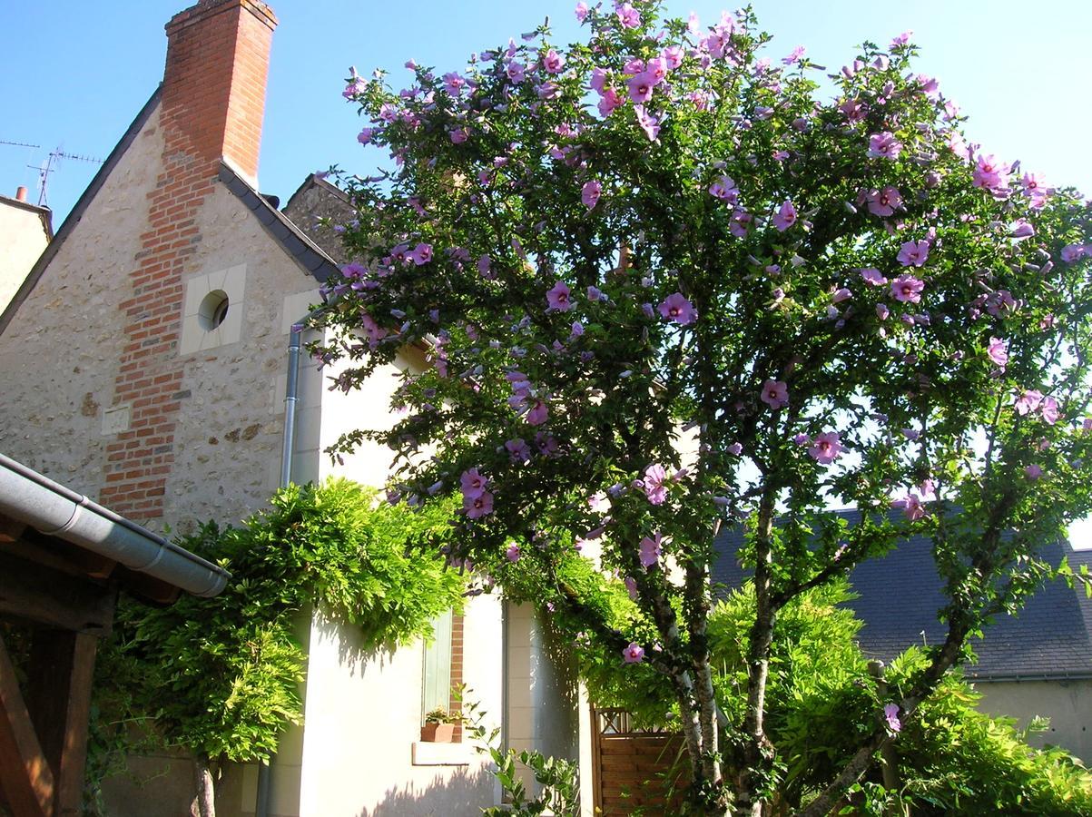 Le Petit Jardin Yoyo Hotel Monts Exterior foto